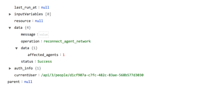 Sample output of the Reconnect Agent Network operation