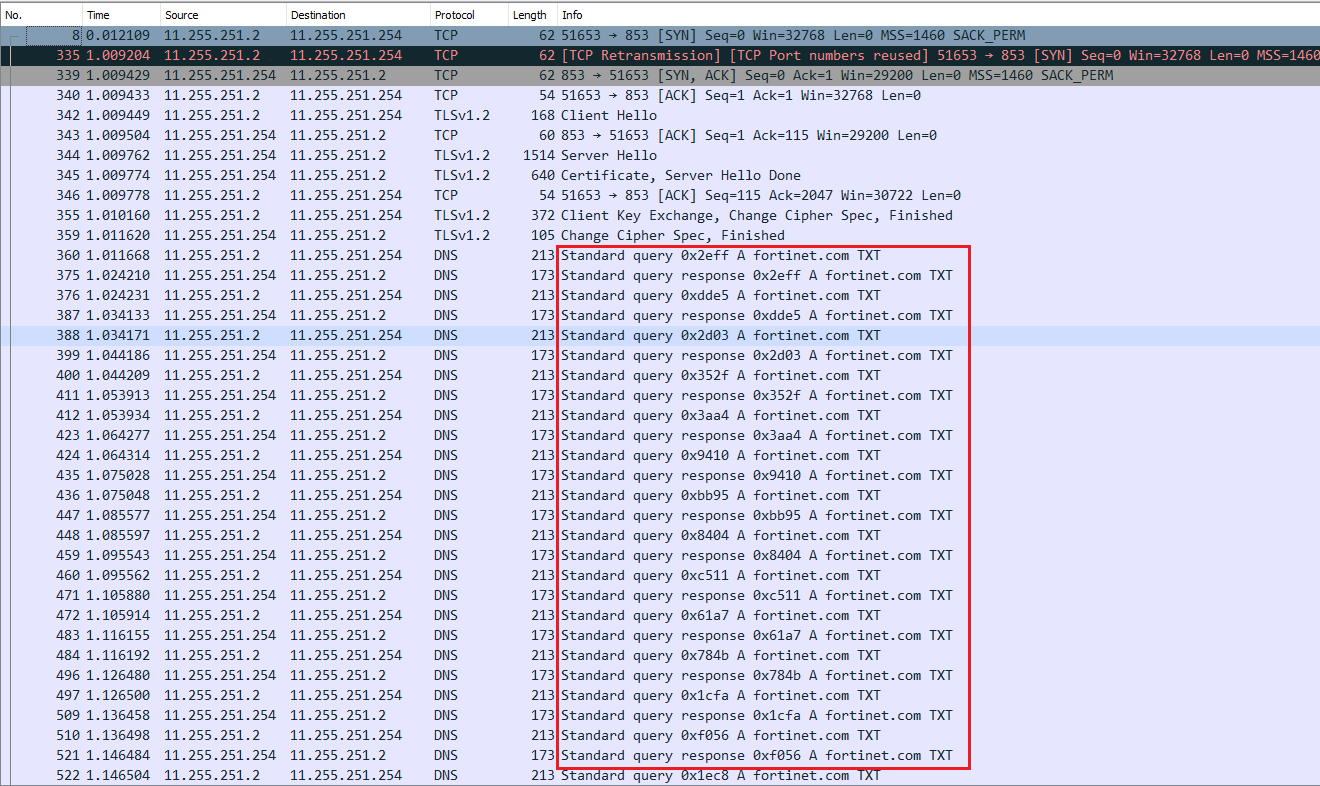DNS cases | FortiTester 7.4.2 | Fortinet Document Library