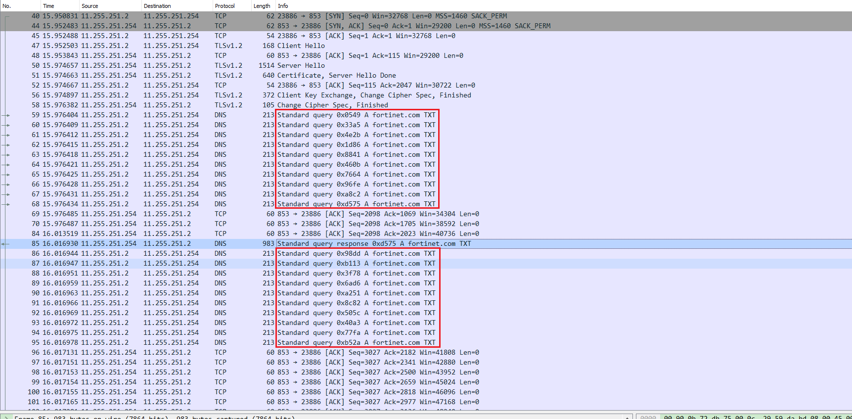 DNS cases | FortiTester 7.4.2 | Fortinet Document Library