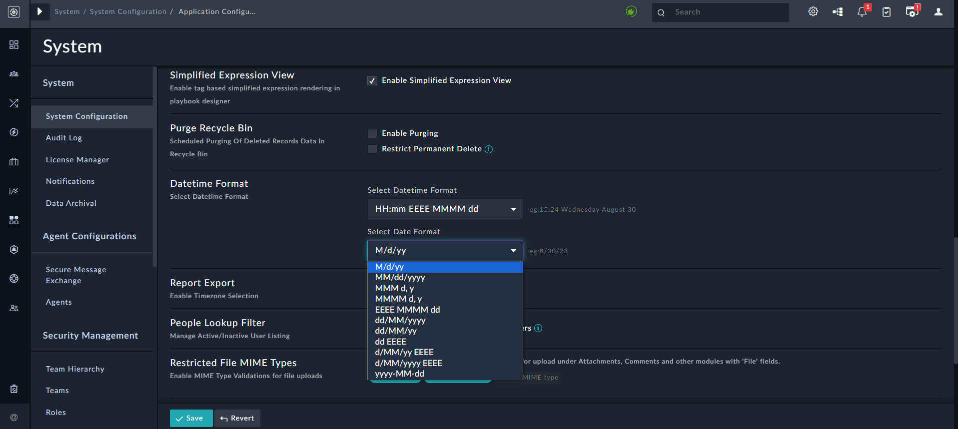 Configuring the DateTime Formats