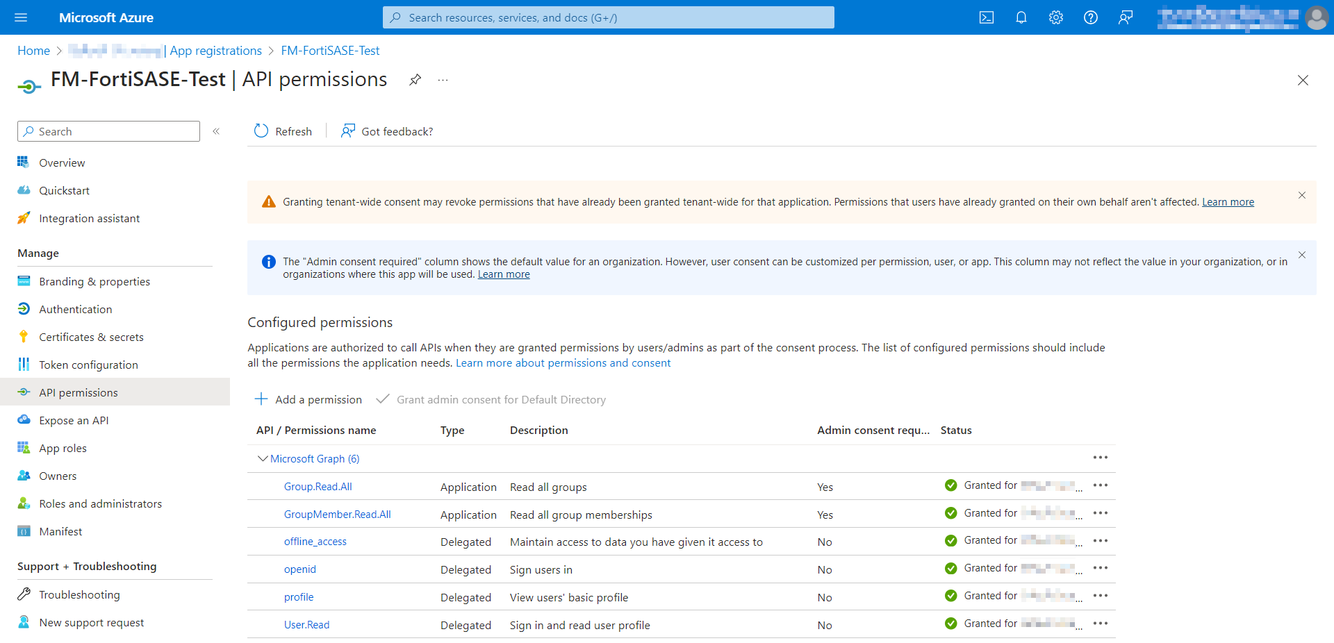 Configuring API permissions and determining Entra ID SSO credentials ...