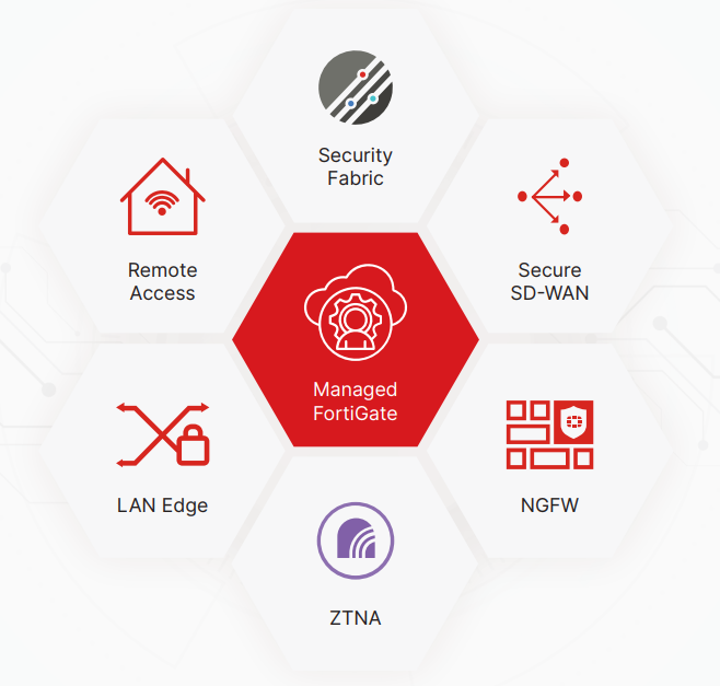Service catalog use cases Managed FortiGate Service