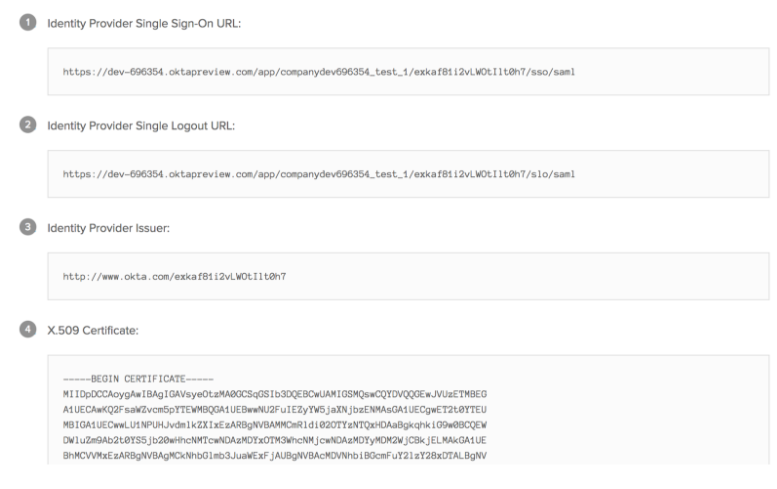 View Setup Instructions of the newly created SAML application