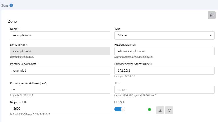 DNS services | FortiGSLB 24.1.0 | Fortinet Document Library