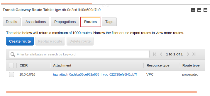 Routes tab showing the propagated route.