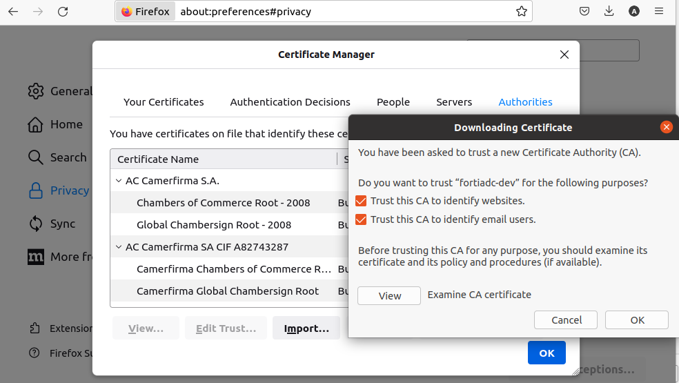 Configuring DNS over HTTPS and DNS over TLS | FortiADC 7.6.1 | Fortinet ...